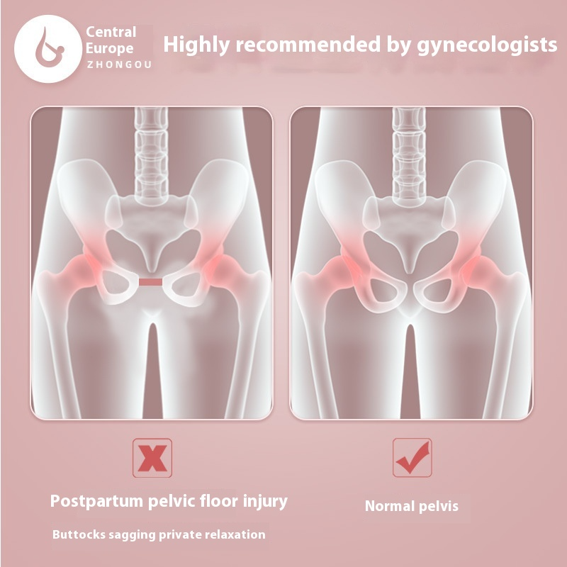 Pelvic Floor Muscle Trainer